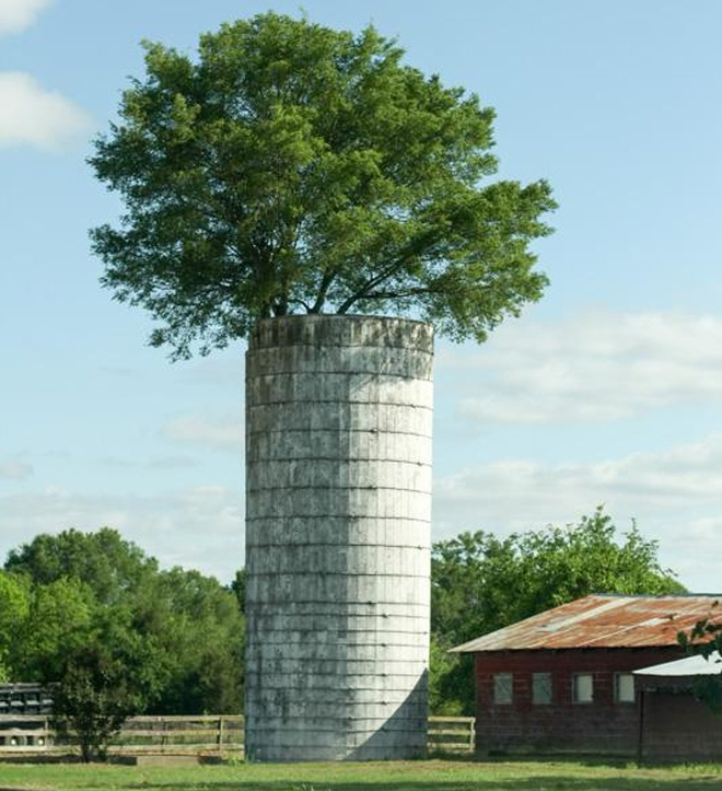 Những công trình phải "nhượng bộ" cho cây xanh - 8