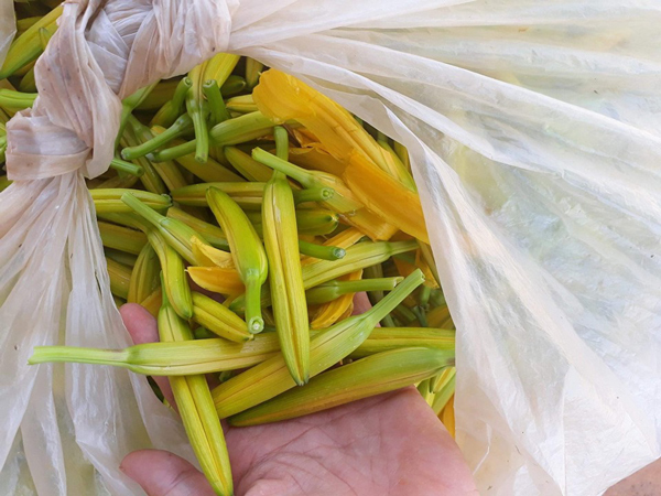 Loại hoa mọc hoang có tác dụng thần kỳ cho sức khỏe giá 500.000đ/kg - 1