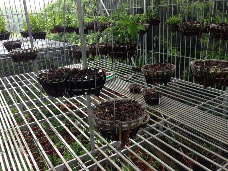 Nóng trong tuần: Hé lộ cách thức Huy "nấm độc" và bạn tù vượt ngục - 3