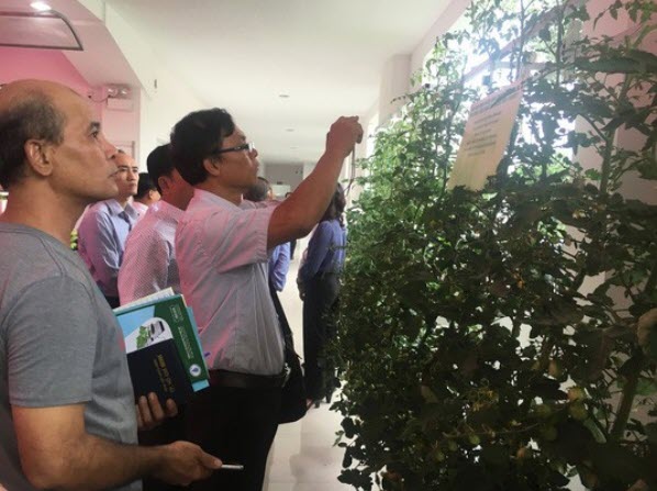 TP HCM "treo thưởng" 1 tỉ đồng để thu hút người có tài năng đặc biệt - 1