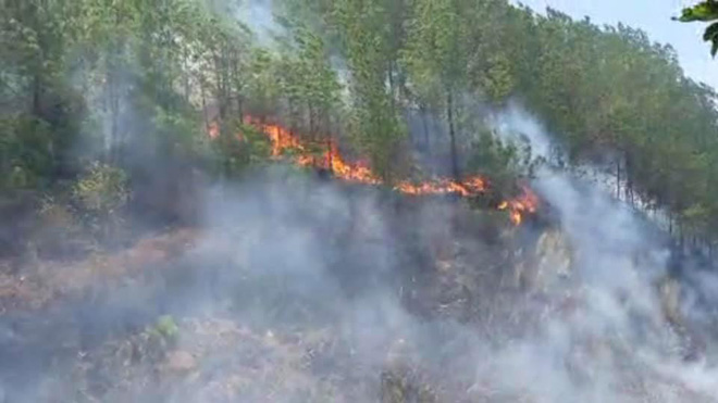 Nắng nóng quay trở lại, rừng ở Hà Tĩnh lại tiếp tục cháy lớn - 1