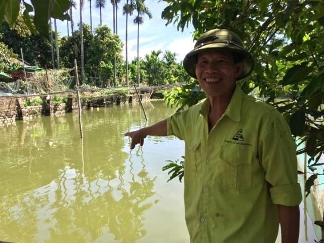 Thị trường - Tiêu dùng - Trên trồng bưởi, dưới thả vịt, U70 xứ Thanh thu hàng trăm triệu/năm