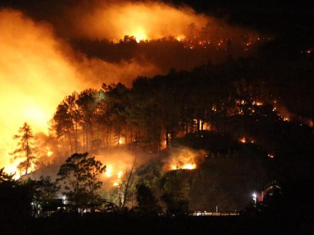 Rừng Hà Tĩnh lại cháy dữ dội, hàng trăm người lên núi Nậm dập lửa giữa đêm