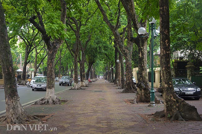 Những con đường &#34;mát mặt&#34; dù Hà Nội nắng nóng đổ lửa - 2
