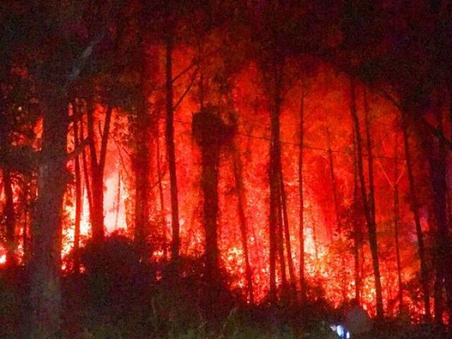 Tin tức trong ngày - Cháy rừng thông gần Lăng vua Khải Định