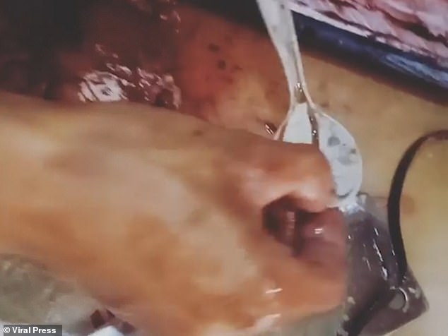 Indonesia: Mua cá ngoài chợ, về mổ bụng thấy "bàn tay hủy diệt" của con người - 2