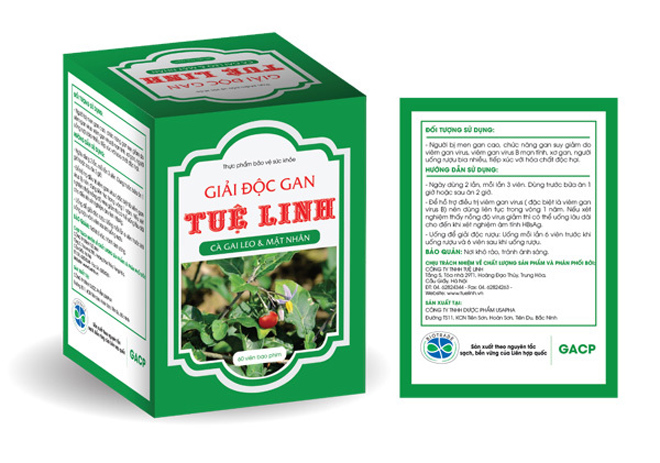 Cà gai leo Tuệ Linh – Vùng trồng đạt tiêu chuẩn khắt khe về dược liệu cho người bệnh gan - 3