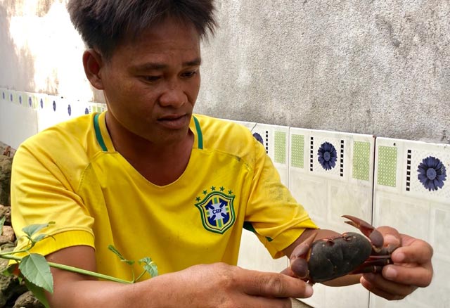 Nhanh tay, tinh mắt cầm đèn đi vạch đá săn cua đặc sản ở đảo An Bình - 10