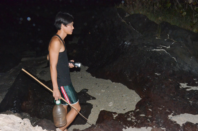 Chỉ cần đèn pin để soi, can nhựa cắt miệng và que tre, hoặc gỗ là có thể hành nghề