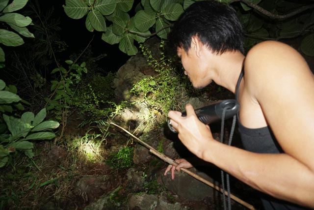 Nhanh tay, tinh mắt cầm đèn đi vạch đá săn cua đặc sản ở đảo An Bình - 4