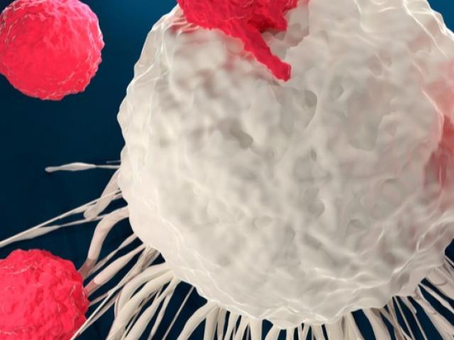 Sức khỏe đời sống - Bạn sẽ không còn là "con mồi" của trăm nghìn loại ung thư nếu ăn nhiều những "món" này