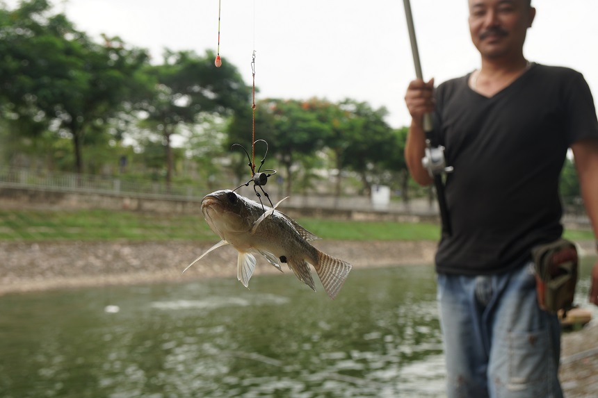 Sông Tô Lịch thay đổi bất ngờ sau một đêm, nhiều người mang cần ra câu cá - 16