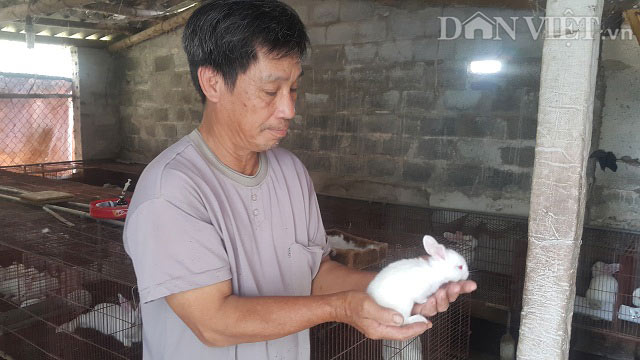 Nuôi bạt ngàn thỏ và ếch, lão nông Ninh Bình trở thành triệu phú.