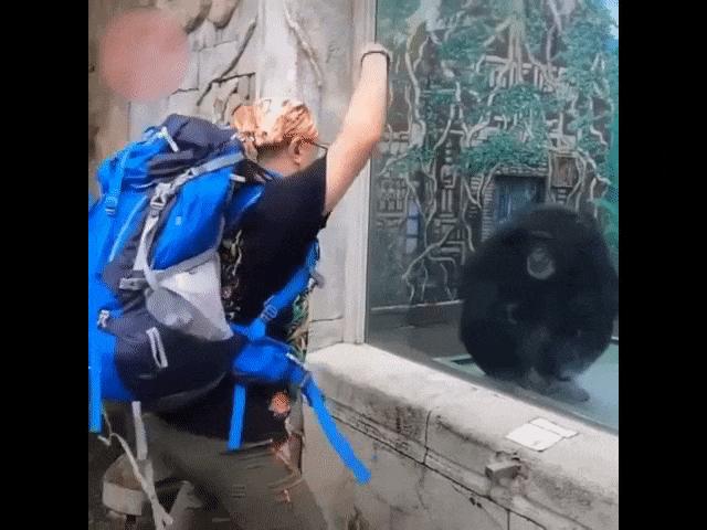 Video Clip Cười - Thế bây giờ ai "mua vui" cho ai đây?