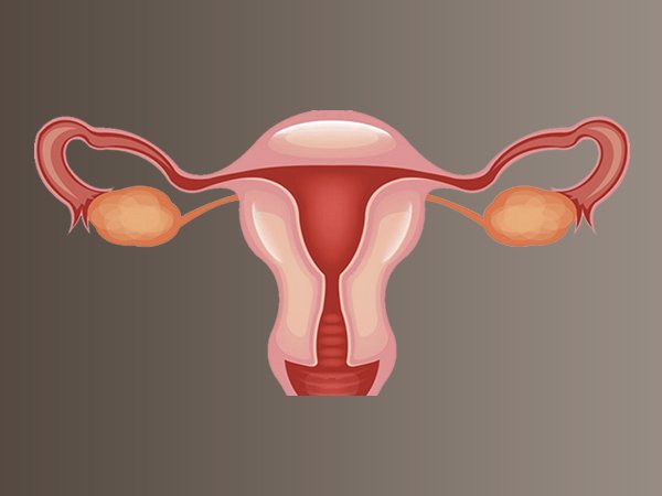 Bé gái buộc phải cắt bỏ ống dẫn trứng vì mặc đồ lót của mẹ - 1