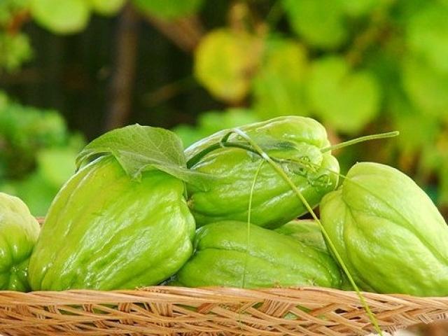 Sức khỏe đời sống - Ăn su su vừa bổ, vừa chữa nhiều bệnh thế này mà nhiều người không biết