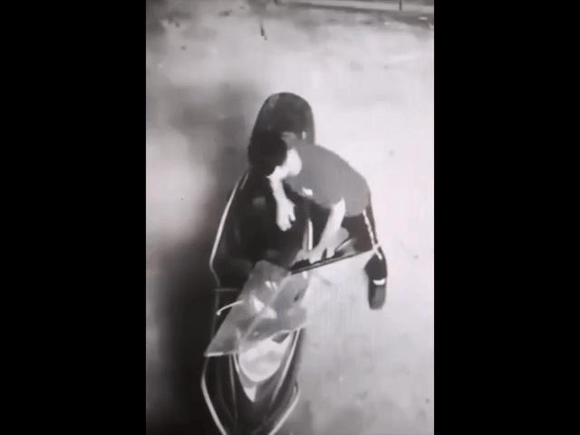 Video Clip Cười - Đang bận "ăn trộm" mà cứ bị làm phiền