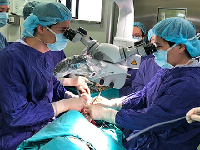 Sức khỏe đời sống - Bi hài chuyện nối “của quý”