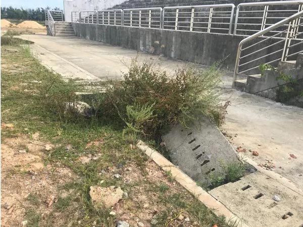 Hạng mục thoát nước.