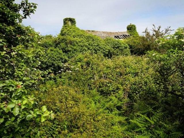 Kinh doanh - Suốt hàng chục năm, "khối tiền gần 7 tỷ" nằm sau cỏ dại không ai đoái hoài