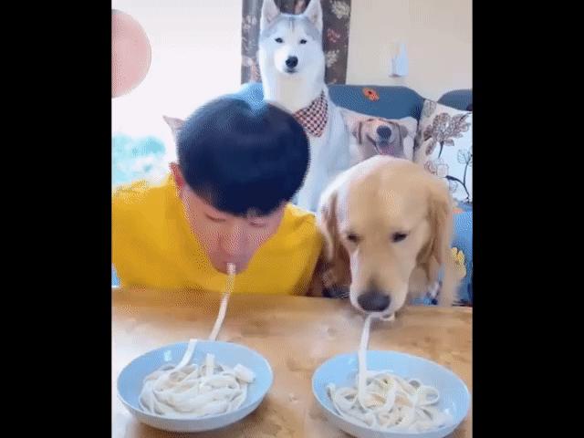 Video Clip Cười - Cuộc thi "ai ăn nhanh hơn chú cún lớp 5"