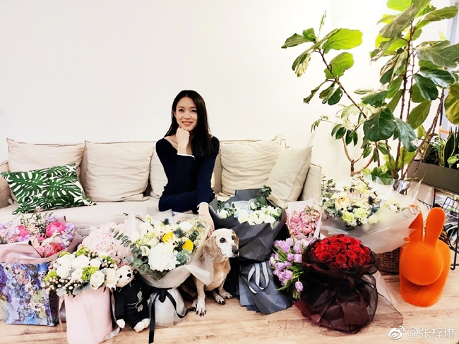 Căn nhà của Trương Tử Lâm ngập trong hoa vào ngày cô đón tuổi mới.