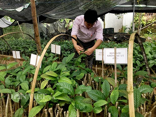 Và ghi chép theo dõi, phân loại.