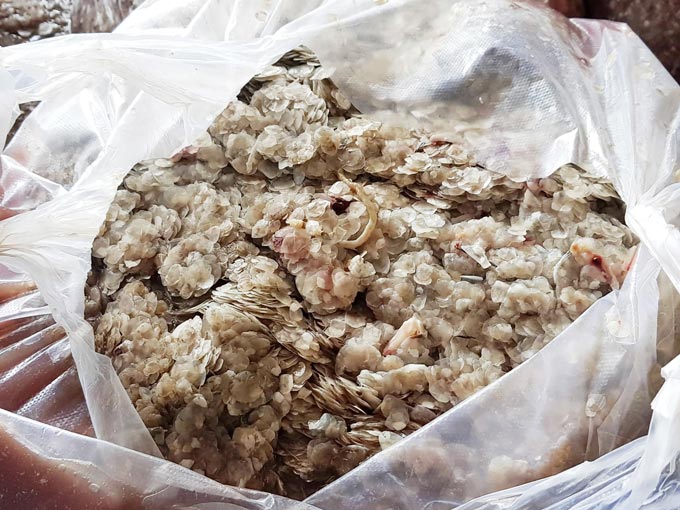 Thay vì bỏ đi, các cơ sở chế biến khô ở Đồng Tháp bán vảy cá lấy tiền trả lượng cho nhân công.