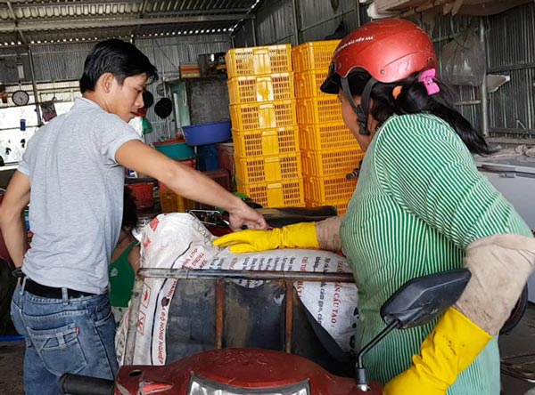 Một người phụ nữ đến thu gom vảy cá để bán lại cho thương lái.