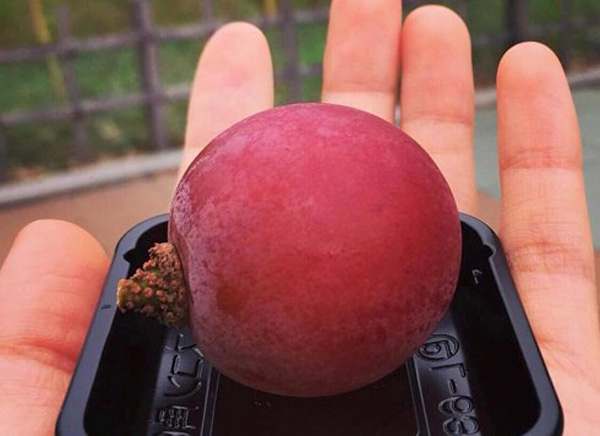 Một quả nho Ruby roman có giá bán lên tới 350.000 đồng.