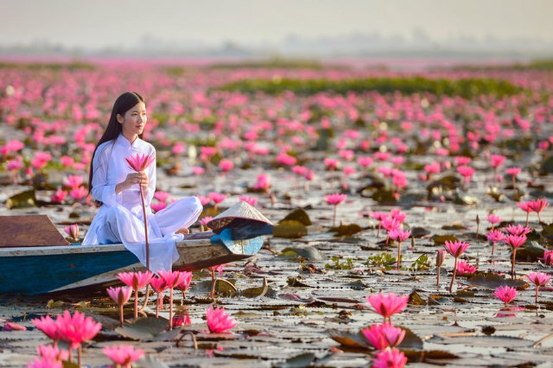 Một vài thời điểm trong năm, nếu may mắn, du khách còn được chiêm ngưỡng những hồ hoa sen, hoa súng nên thơ như thế này.