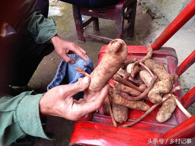 Nửa cân thiên ma có giá ít nhất 100 nhân dân tệ.