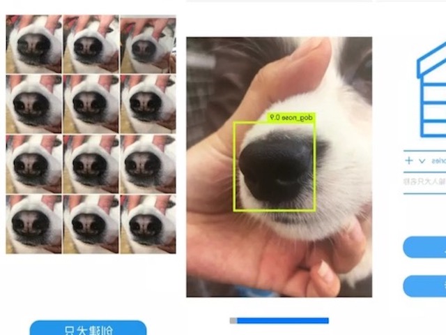 Công nghệ thông tin - Công ty Trung Quốc sử dụng công nghệ nhận diện khuôn mặt để "tìm chó lạc"