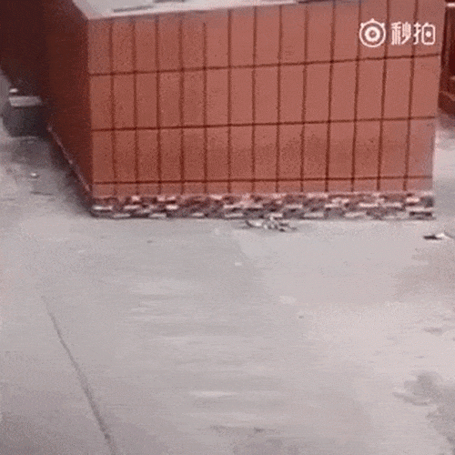 Cái kết nhớ đời cho những người mải mê sống ảo với điện thoại - 9