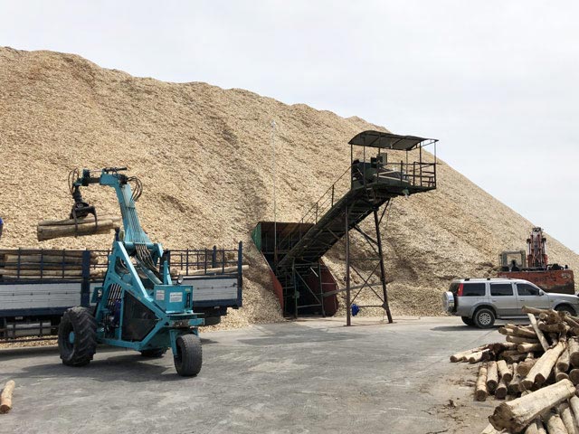 Dù lượng dăm gỗ tồn ứ rất lớn, nhưng gần như 100% NM chế biến dăm cũng phải tiếp tục mua nhiên liệu (gỗ keo) để duy trì hoạt động, giữ chân công nhân.
