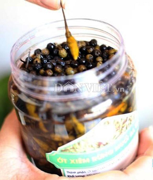 Ngoài sử dụng khi còn xanh, người dân còn dầm thêm với ớt xiêm để dùng được lâu hơn.