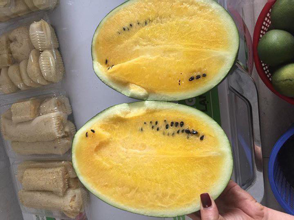 Theo lời người bán, loại dưa này chín sẽ ăn ngọt, thơm hơn nhiều lần dưa ruột đỏ nhưng những quả non lại chua và khó ăn.