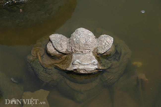 Thậm chí có cả bức tượng ông Cóc ngậm tiền, thứ vẫn được đặt trong bàn thờ để cầu tài lộc.