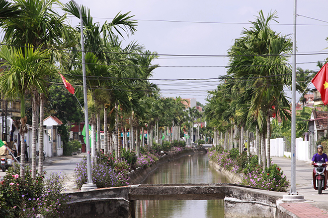 Con đường hoa và cau dài 3km được hoàn thành nhờ công sức của người dân xóm 4, xã Hải Bắc.