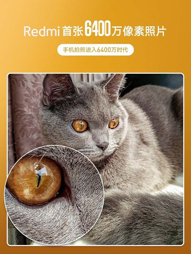 Ảnh chụp bởi smartphone với camera 64 MP được thực hiện bởi điện thoại bí ẩn từ Xiaomi.