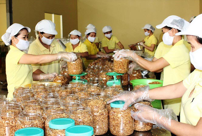 Bán hàng trên kênh thương mại điện tử là con đường ngắn nhất để đưa sản phẩm xuất khẩu.