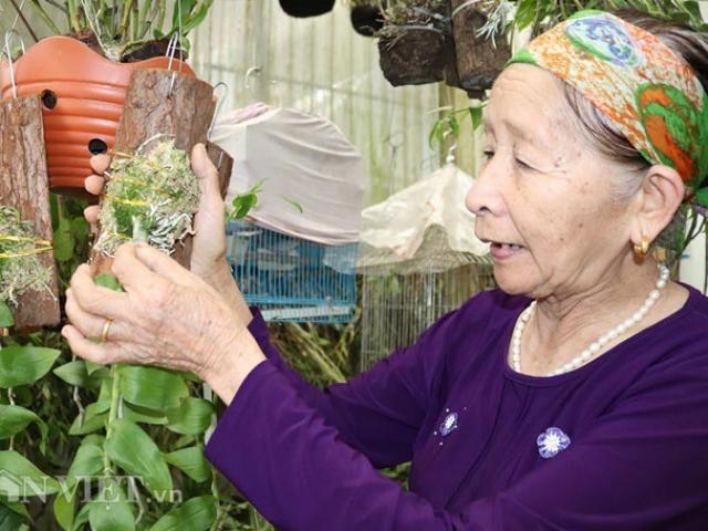 Thị trường - Tiêu dùng - "Lão bà bà" 81 tuổi làm vườn lan tiền tỷ "khủng" nhất tỉnh Lai Châu