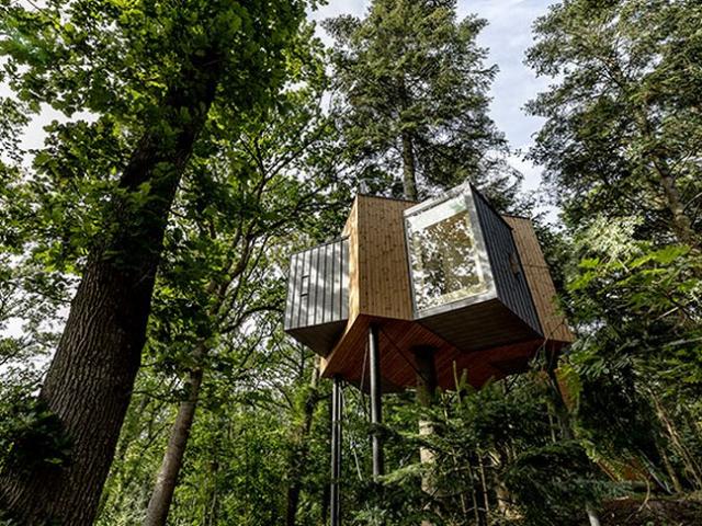 Du lịch - Thú vị với các ngôi nhà treo lơ lửng giữa rừng già ở Đan Mạch
