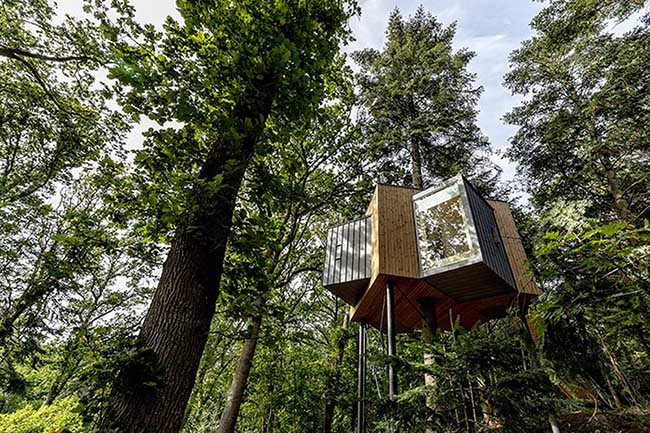 Thú vị với những nhà cây lơ lửng giữa rừng già Đan Mạch.