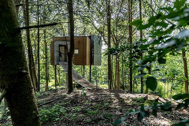 Nhà cây nằm cách mặt đất khoảng 6-8 mét, có cầu thang nối đất tiện đi lại.