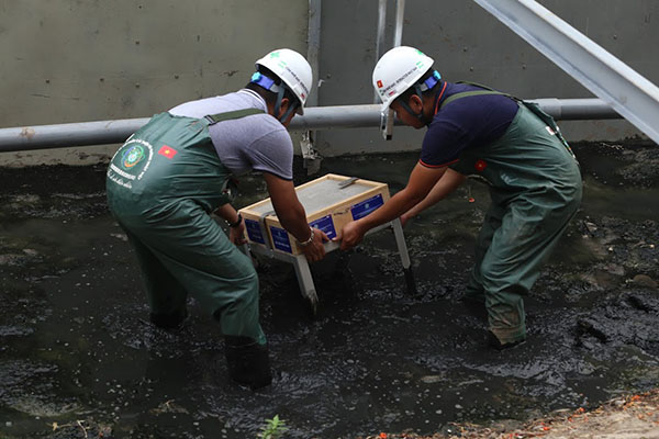 Các chuyên gia Nhật đã có “bí kíp” để các vi sinh vật có lợi không bị cuốn trôi khi xả nước