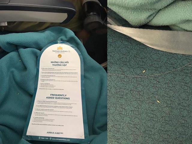 Tin tức trong ngày - Vietnam Airlines nói gì thông tin hành khách “tố” có dòi trong chăn