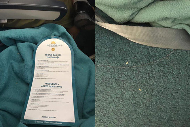 Hình ảnh con dòi xuất hiện trên chiếc chăn của hãng hàng không. Ảnh: T.M