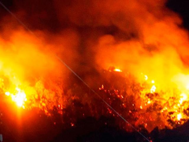 Tin tức trong ngày - Bình Định: Cháy rừng, Chủ tịch huyện, Giám đốc Sở chịu trách nhiệm!