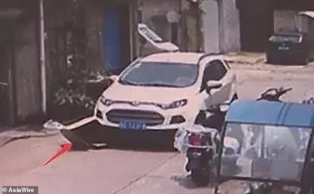 Chiếc SUV màu trắng lao tới chèn qua thùng carton có bé gái bên trong